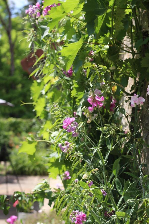 Chez Sophie Et Benoit Bed & Breakfast La Bussiere-sur-Ouche Luaran gambar